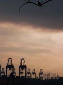 夜?雨林——雨林深處秘境探訪