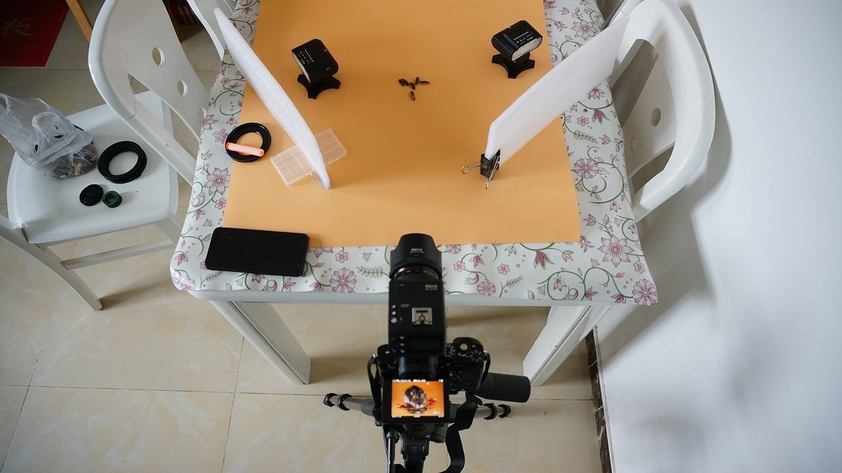 玩出微距新高度—美科MK-MT24閃光燈體驗(yàn)