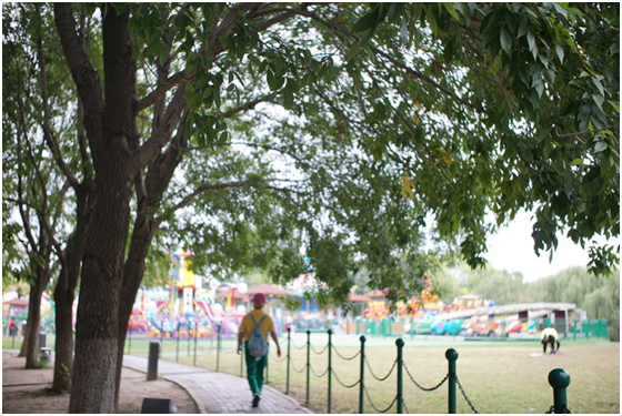 精細(xì)調(diào)焦與馥郁色彩 美科25mm f1.8鏡頭評測